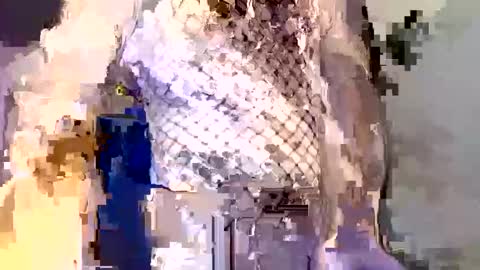  incocknito  online show from 12/16/25, 05:40