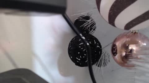 Snapshot of _kat_sweet chatting on 12/02/25, 03:12 Cata online show from 12/02/25, 03:12