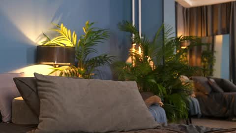 FANSLY ---   anal in private 700 tokens online show from 11/01/25, 11:29