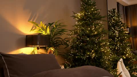 FANSLY ---   anal in private 700 tokens online show from 11/30/25, 06:12