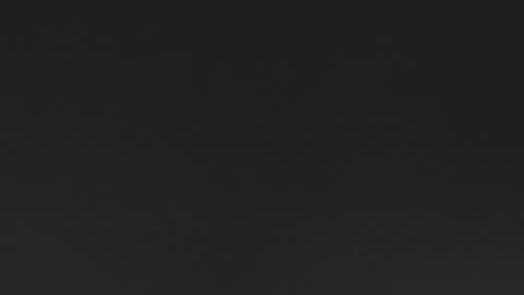 lexie online show from 12/15/24, 06:29