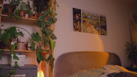 Salome   Lovense always on from 5 tk   My content and your custom requests  online show from 06/09/26, 02:56