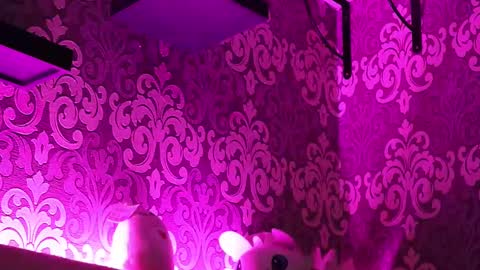 Snapshot of _made_in_hell_ chatting on 02/23/25, 11:47 Stream at am in MoscowI am waiting for you very much3 online show from 02/23/25, 11:47
