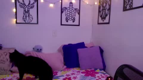 Marce  online show from 01/18/25, 12:57