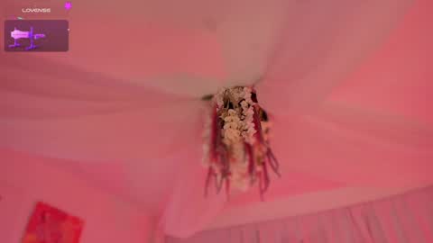       Telegram Channel channelofmers Subscribe schedule 600 am 1200 am Colombia time online show from 12/06/24, 02:28