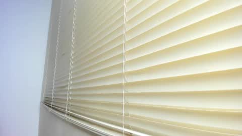 _molly_rosse_ online show from 11/12/25, 11:54