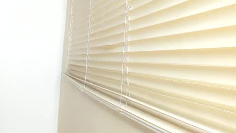 _molly_rosse_ online show from 11/21/25, 11:53