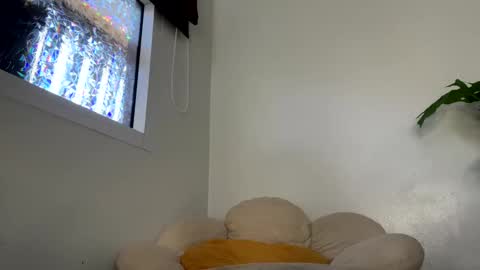 Snapshot of _morpho_ chatting on 01/29/25, 05:09 Francine Aisi Morpho - a genus of blue butterflies. online show from 01/29/25, 05:09