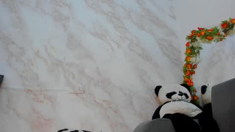 Snapshot of _nanny_1 chatting on 01/11/25, 11:13 Nanny online show from 01/11/25, 11:13