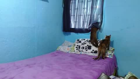 Snapshot of _sammanttha chatting on 02/26/25, 06:21 Sammy online show from 02/26/25, 06:21