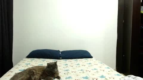 Sofia Parker online show from 10/03/25, 04:37