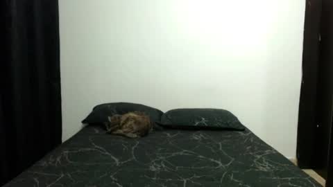 Sofia Parker online show from 11/10/25, 07:18