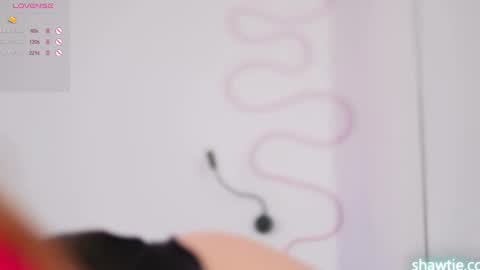 Taylor online show from 01/16/25, 02:19