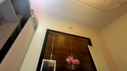 Snapshot of _turb0_tr4sh_ chatting on 06/06/26, 03:00 _turb0_tr4sh_ online show from 06/06/26, 03:00
