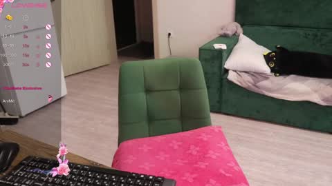 Alis online show from 12/30/24, 11:26