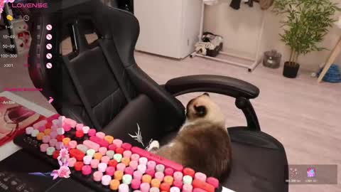 Alis online show from 12/15/25, 08:40