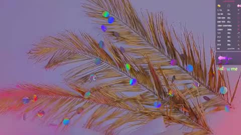 Ally online show from 03/06/25, 03:24