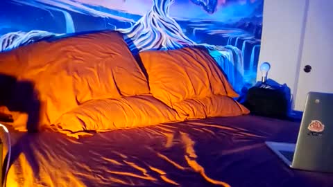 a_bad_guy_duh online show from 02/09/26, 10:19