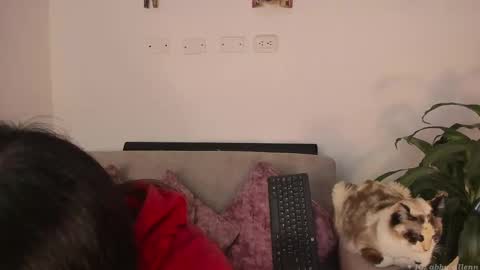 Snapshot of abbey_allen chatting on 03/07/25, 11:38 Abbey  IG abby allenn  04 December Online at  I will be on vacation dont forget me  See you soon   online show from 03/07/25, 11:38