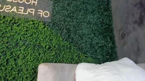 A B B Y online show from 02/19/25, 06:21