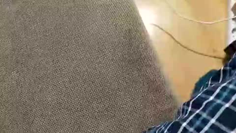 abepenix7 online show from 03/23/26, 12:58