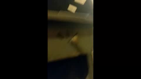 adam000985057 online show from 01/31/25, 02:04