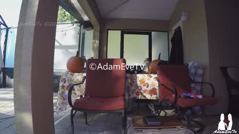 Adam And Eve online show from 11/01/25, 08:33