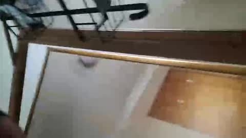 Snapshot of adamlucas54321s773712 chatting on 10/08/25, 01:36 adamlucas54321s773712 online show from 10/08/25, 01:36