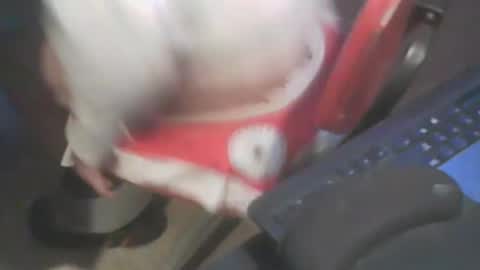 Snapshot of adamsny chatting on 01/20/25, 07:04 adamsny online show from 01/20/25, 07:04