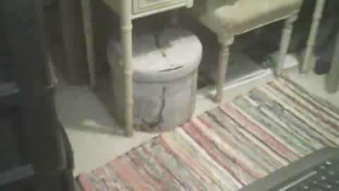 Snapshot of adamsny chatting on 11/04/25, 08:46 adamsny online show from 11/04/25, 08:46