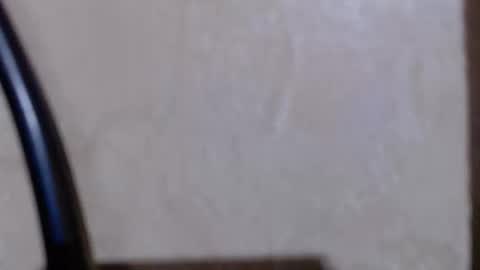 Snapshot of aeonian4 chatting on 12/19/25, 11:23 aeonian4 online show from 12/19/25, 11:23