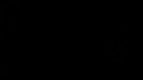 Snapshot of agatha_prime chatting on 12/23/25, 12:19 CAROLINA online show from 12/23/25, 12:19