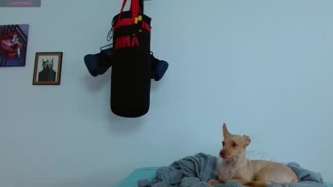 Agness online show from 10/20/25, 06:08