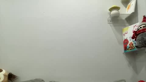 Aile online show from 12/29/24, 03:54