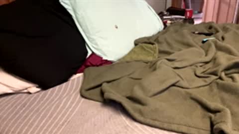 ajb5187517 online show from 01/05/26, 05:49