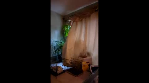 ajiii1313 online show from 04/03/26, 11:41