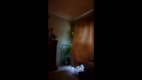 Snapshot of ajiii1313 chatting on 04/04/26, 09:34 ajiii1313 online show from 04/04/26, 09:34