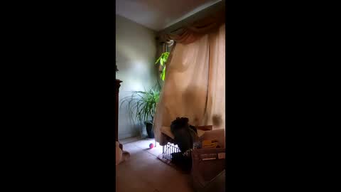 ajiii1313 online show from 04/10/26, 12:21