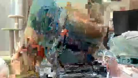 Snapshot of akirazayy chatting on 03/01/26, 07:54 Akira Zay online show from 03/01/26, 07:54