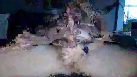 akpchi1984 online show from 03/16/26, 11:42