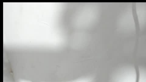 Snapshot of alahia66 chatting on 04/01/26, 03:40 alahia66 online show from 04/01/26, 03:40