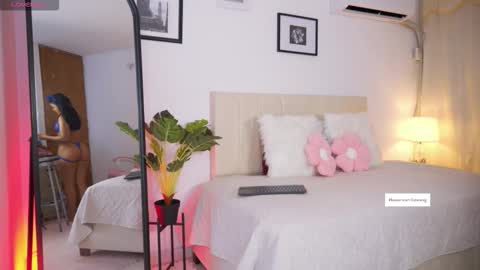 Snapshot of alana_ada chatting on 01/11/26, 02:16 alana_ada online show from 01/11/26, 02:16