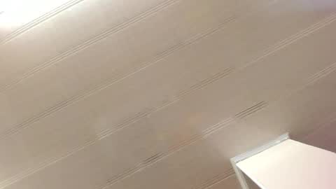 Maeve  online show from 12/28/24, 11:09