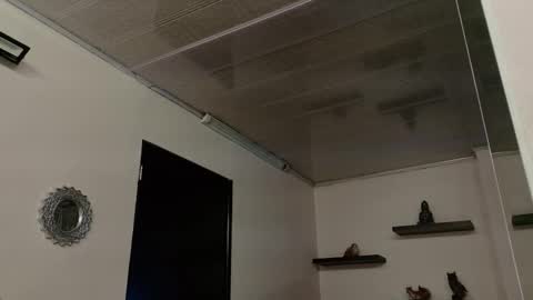 Maeve  online show from 09/25/25, 10:52