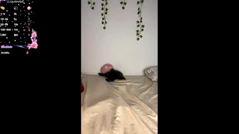 Snapshot of alaska_drew chatting on 02/25/25, 11:08 Alaska online show from 02/25/25, 11:08