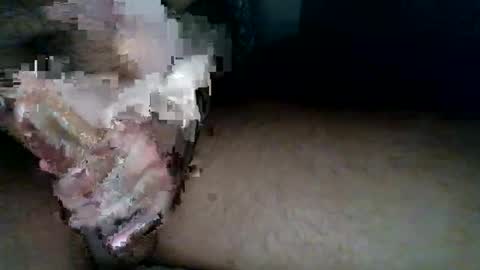 aldous_fuxley online show from 02/20/26, 06:48