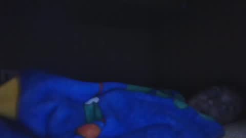 Snapshot of aledewalt chatting on 12/04/24, 12:03 call me on skp alexdewalt online show from 12/04/24, 12:03