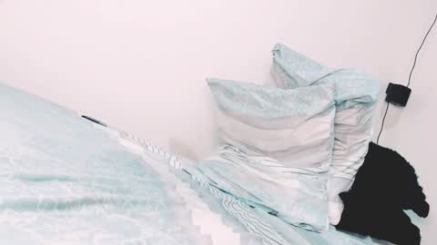 Alejandra online show from 01/29/25, 11:46