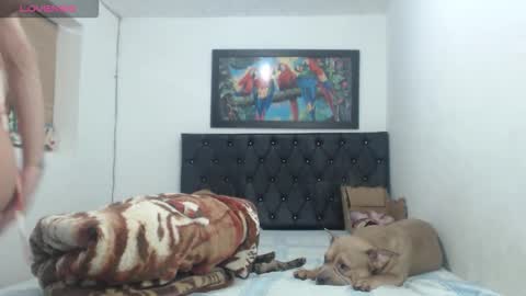 Snapshot of aleja_hornet chatting on 09/27/25, 01:10 aleja online show from 09/27/25, 01:10