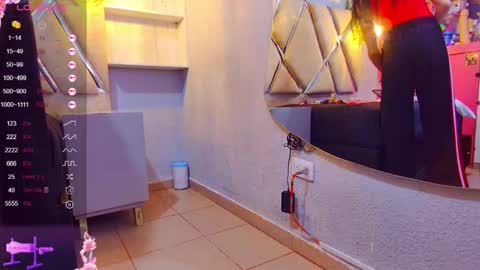 Snapshot of alejandra_martinss chatting on 11/12/25, 03:07 alejandra martins online show from 11/12/25, 03:07